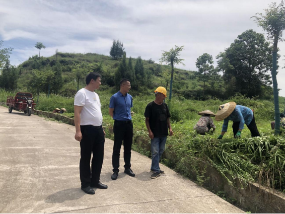 公司董事長成軍到松桃縣農(nóng)信社對接 生豬產(chǎn)業(yè)融資擔保工作